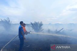 BPBD Aceh Barat kerahkan petugas padamkan kebakaran lahan