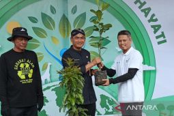 10.000 bibit buah ditanam di lereng Gunung Lawu untuk cegah erosi tanah dan longsor