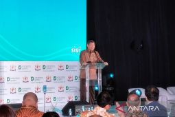 Hashim: Jerman gantikan AS terkait kepemimpinan di JETP