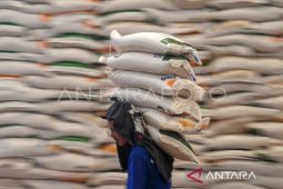 Bulog Kaltim-Kaltara pastikan stok 20 ribu ton beras jelang Ramadhan