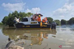 Menteri LH pimpin aksi bersih hutan mangrove Muaragembong Bekasi