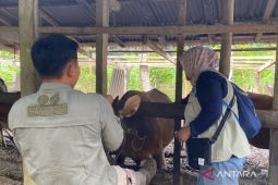 Mukomuko siapkan lima tim periksa kesehatan daging jelang Ramadhan