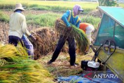 DPRD Karawang minta Distan berperan bantu penyerapan gabah Bulog