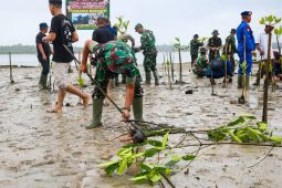 Kodim 0138 Natuna tanam 500 benih mangrove di Pering