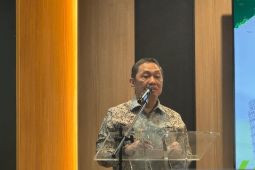 Indonesia positioned to lead Muslim world, deputy FM says