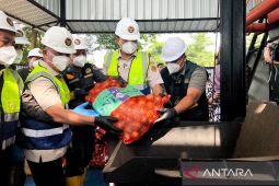 Barantin musnahkan 86,4 ton bawang bombai impor asal Belanda