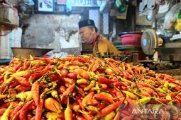 Harga cabai di Samarinda  melonjak 90 persen mendekati Ramadhan