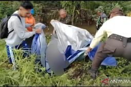 Seorang warga Kutai Timur diterkam buaya