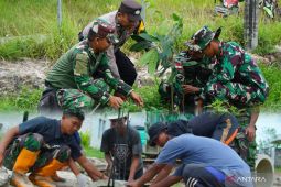 Satgas TMMD Kodim 0907/Trk tanam ratusan pohon dan bangun gorong-gorong di Tarakan