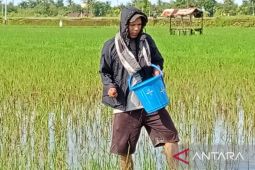 Sekda Sulsel minta daerah konsisten perbarui data neraca pangan