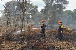 Kalbar fokus pada edukasi dan pencegahan karhutla