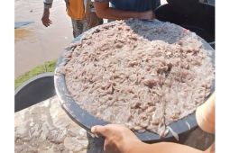 Fenomena munculnya ikan ifu di pesisir Bima dan Dompu sepekan ini