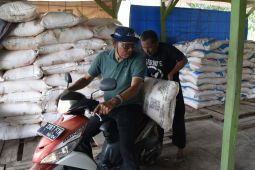 Akses tebus pupuk bersubsidi kini lebih mudah