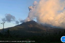 Gunung Lewotobi Laki-laki Sabtu ini erupsi 11 kali