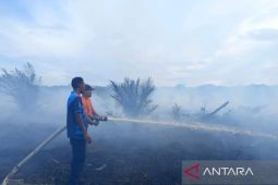 BPBD Aceh Barat imbau warga tidak bakar lahan kebun, cegah karhutla