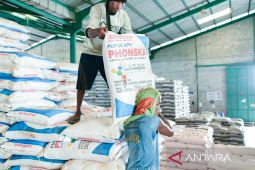 Pupuk Indonesia pastikan stok pupuk subsidi di Madura mencukupi