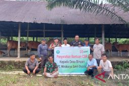 Perusahaan  HTI di Jambi beri bantuan sapi kelompok tani Tanjabbar