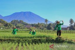 Program Lumbung Pangan Baznas pada 2022-2024 berhasil cetak 80 orang muzaki baru