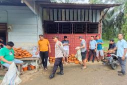 Polisi tangkap seorang pengedar ganja di Pasaman Barat