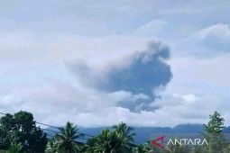 Gunung Dukono semburkan abu vulkanik 1.900 meter