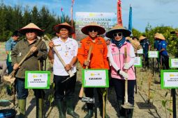 PLN Babel, Basarnas dan Pemkab Bangka perkuat ekosistem pesisir dengan tanam mangrove