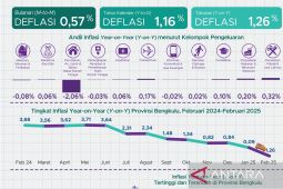 BPS: Diskon tarif listrik beri andil deflasi Februari 2025 di Bengkulu