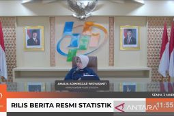 Diskon tarif listrik beri andil terbesar deflasi Februari 2025