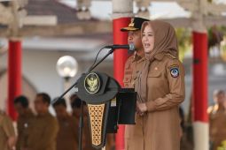 Wagub Sulsel mengingatkan tidak ada SKPD superior