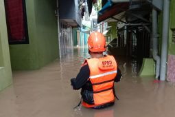 BPBD koordinasi dengan instansi terkait menangani banjir luapan Ciliwung