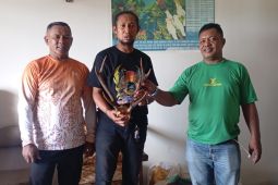 Petugas BKSDA Maluku kembali amankan opsetan tanduk rusa di Pelabuhan Ambon