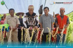 Pemkab Mahakam Ulu  kembangkan PLTS di kawasan 3T