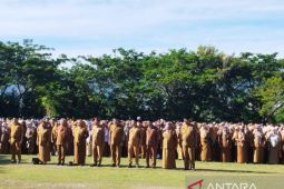 Bupati Bone Bolango tegaskan disiplin dan transparansi ASN
