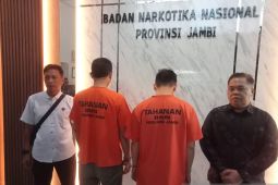 BNNP Jambi dan Sumut buru jaringan  narkotika lintas provinsi