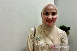 DPRD Kalsel pertimbangkan bentuk tim Pertamax oplosan