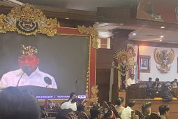 Pemprov Bali tolak pasokan energi dari luar agar fokus PLTS atap