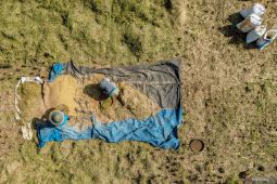 BPS catat luas panen padi di Jatim 2025 capai 1,84 juta hektare