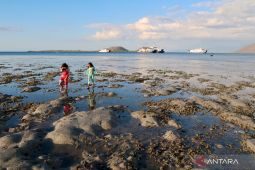 NTB perluas kawasan konservasi perairan laut dukung sumber daya perikanan berkelanjutan