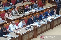 Komisi X DPR setujui naturalisasi Emil Audero, Dean James, dan Joey