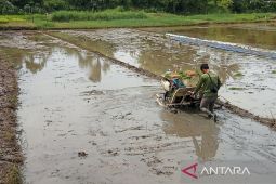 Bantul rehabilitasi delapan daerah irigasi pertanian