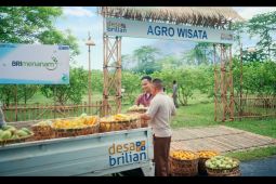 BRI buka program Desa BRILiaN 2025, dukung Astacita