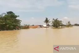 Ratusan warga terdampak banjir di Karawang masih di pengungsian