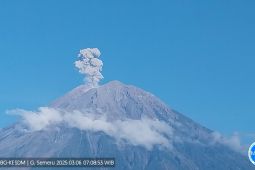 Semeru erupsi dengan tinggi letusan 1.100 meter di atas puncak