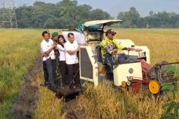 Bupati Kudus dukung Bulog serap sebanyak 10.000 ton setara beras petani