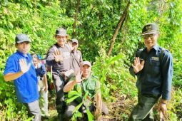 Pemkab Buleleng tanam pohon aren lestarikan hutan Desa Ambengan