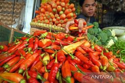 Jumat ini, harga cabai rawit Rp97.250/kg dan bawang merah Rp43.850/kg