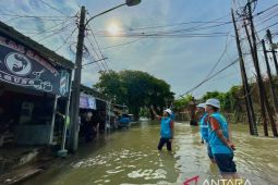 PLN berhasil pulihkan 100 persen jaringan listrik terdampak banjir di Jabodebek