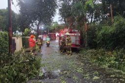 Hujan Deras di Kota Bandung: Banjir dan Pohon Tumbang di sejumlah titik, berikut daerahnya!