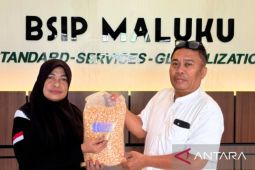 BSIP Maluku salurkan bantuan bibit cabai holo dan jagung jakarin ke LPP Ambon