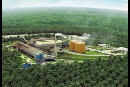 PLN Dorong Pertanian Modern dengan Electrifying Agriculture di Kabupaten Ketapang dan Kayong Utara