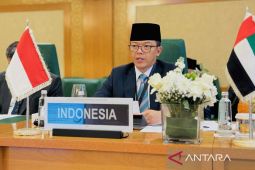 Pelanggaran Israel ingkari hak Palestina tentukan nasib sendiri